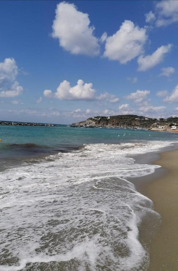 Bed and Breakfast La Bicocca Di Annavi Forio di Ischia Exteriér fotografie
