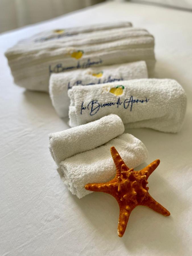 Bed and Breakfast La Bicocca Di Annavi Forio di Ischia Exteriér fotografie