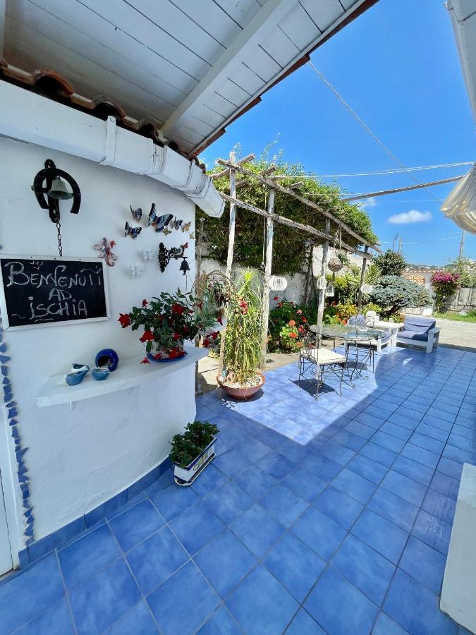 Bed and Breakfast La Bicocca Di Annavi Forio di Ischia Exteriér fotografie