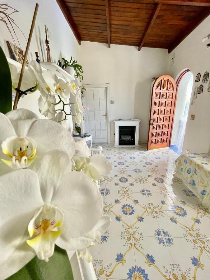 Bed and Breakfast La Bicocca Di Annavi Forio di Ischia Exteriér fotografie